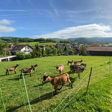 Cozy Apartment in Gleissenberg Bavaria near Forest Appartement *