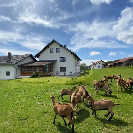 Cozy Apartment in Gleissenberg Bavaria near Forest Appartement Gleißenberg