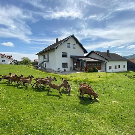 Cozy Apartment in Gleissenberg Bavaria near Forest Appartement *