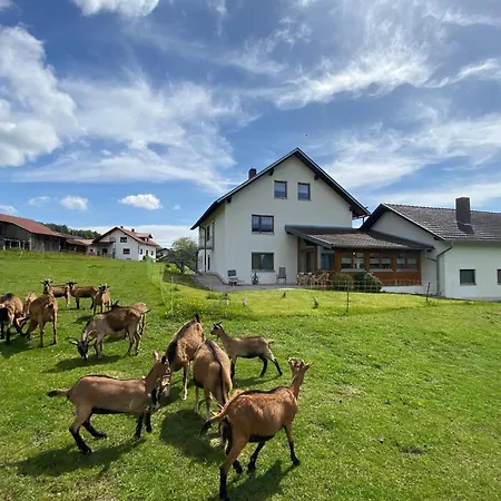 Cozy Apartment in Gleissenberg Bavaria near Forest Appartement *